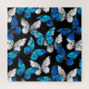 Recherche de motif papillon puzzles Insectes