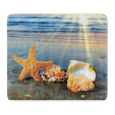 Recherche de plage planches à découper Coquillages