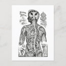 Suche nach vintage anatomie postkarten Darstellung