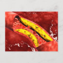 Suche nach kreislauf postkarten Arterie