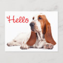 Recherche de chien basset posters Bassett hound