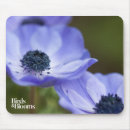 Suche nach anemone mousepads Blume