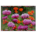 Recherche de pivoine rose planches à découper Jardin