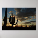 Suche nach arizona wüste poster Nationalpark