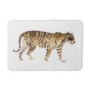 Recherche de tigre de marche Animaux