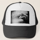 Recherche de bec casquettes Animal