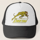 Recherche de lasso casquettes Toutes les étoiles comics