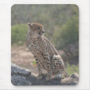 Suche nach großkatzen mousepads Safari