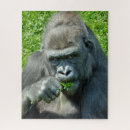 Recherche de primat puzzles Gorille