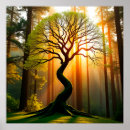 Suche nach strahlen poster Baum