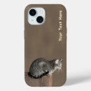 Recherche de housecat Chat