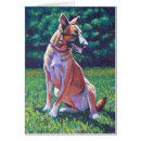 Recherche de malinois cartes postales Berger