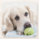 Suche nach hund untersetzer Lustig