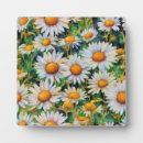 Recherche de botanique plaques Blanc
