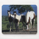 Recherche de peinture cheval tapis souris Équestre