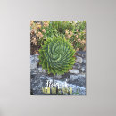 Suche nach gepflanzt kunst Natur