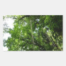 Suche nach rainforest aufkleber Natur