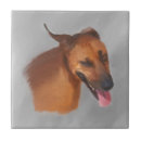 Suche nach rhodesian ridgeback geschenke Rassenstücke