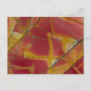 Recherche de jaspe cartes postales Macro
