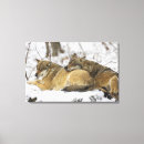 Suche nach wilder wolf leinwandbilder Horizontal