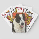 Suche nach border collie spielkarten Malerei