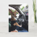 Recherche de salutation animaux articles Dogs