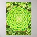 Recherche de mandala photographie Spirituel