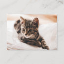 Recherche de chatons cartes visite Mignon