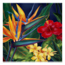 Suche nach paradiesvogel poster Florale