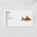 Recherche de poisson chat cartes visite Poissons