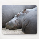 Recherche de hippopotame tapis souris Nature