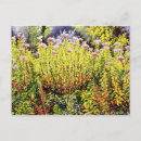 Suche nach zu spät postkarten Blume