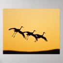 Recherche de apaches art Vol