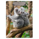 Recherche de koala porte blocs Australie