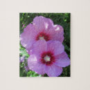 Suche nach rosa rosen puzzle Hübsch
