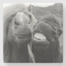 Suche nach bilder untersetzer Lustig