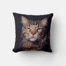 Recherche de maine coon coussins Adorable