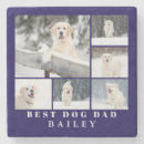 Recherche de dads photographie Animal