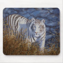 Recherche de tigre blanc tapis souris Animaux sauvages