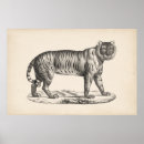 Recherche de sketches poster Antique