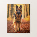 Suche nach deutsche puzzle Wald