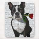 Suche nach boston mousepads Niedliche haustiere