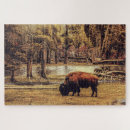 Recherche de bison puzzles Nature