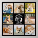 Suche nach verlust des hundes poster Im liebenden gedächtnis