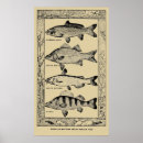Suche nach fischerei poster Kabine