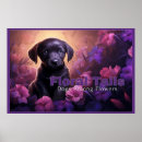 Suche nach tail poster Natur