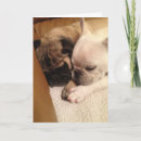 Recherche de prompt rétablissement vœux cartes Chien