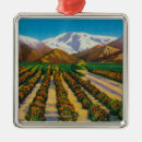 Recherche de orangeraie cartes postales La californie