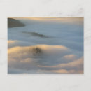 Recherche de pie cartes postales Automne