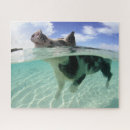 Recherche de natation puzzles Plage